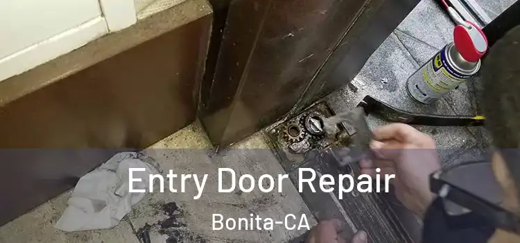  Entry Door Repair Bonita-CA