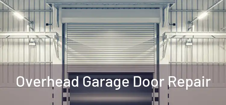  Overhead Garage Door Repair 